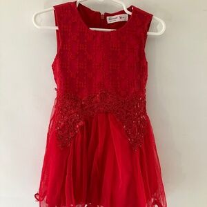 Read embroidered hurt and lace dress with net ruffle skirt
